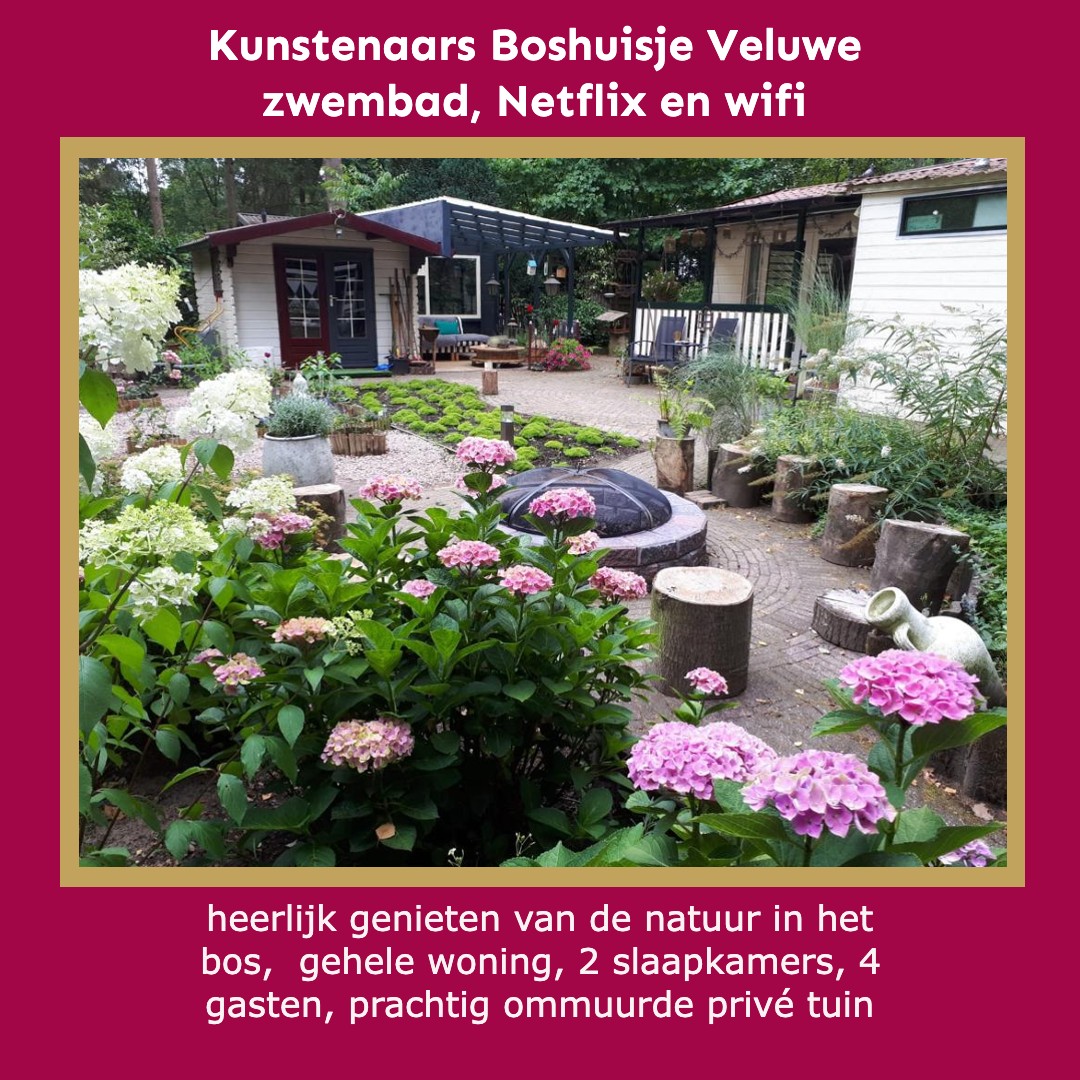 icoon kunstenaars boshuisje rechthoek roze achtergrond recreatiewoning boshuisje Veluwe