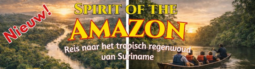 Reis tropisch regenwoud Suriname